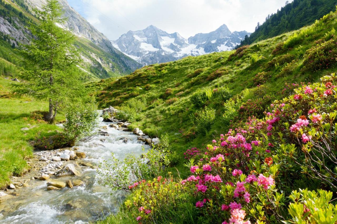 Monas Home Mayrhofen Exterior foto